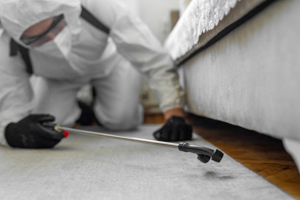 Professional Emergency Pest Control technician working in Farmington Hills, MI