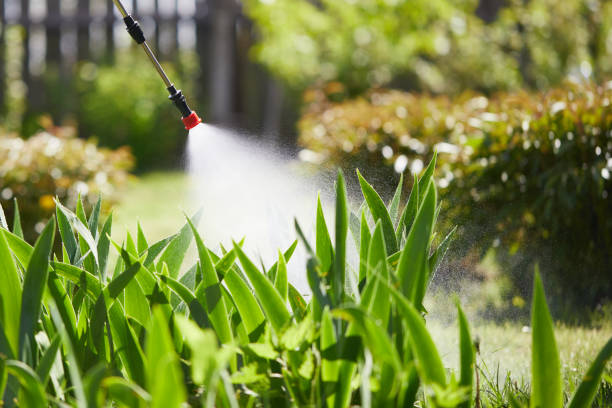 24/7 Emergency Emergency Pest Control experts in Farmington Hills, MI