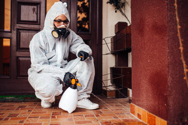 Reliable Emergency Pest Control contractor in Farmington Hills, MI by Nex Pest Control