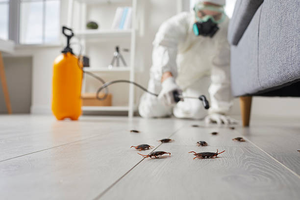 Trusted Mosquito Control service in Farmington Hills, MI - Nex Pest Control