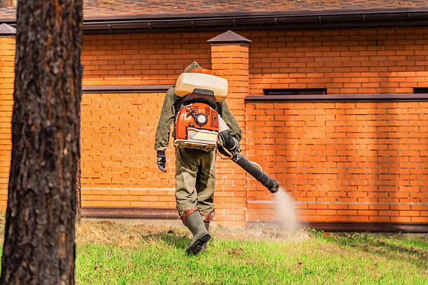 Trusted Rodent Control service in Farmington Hills, MI - Nex Pest Control